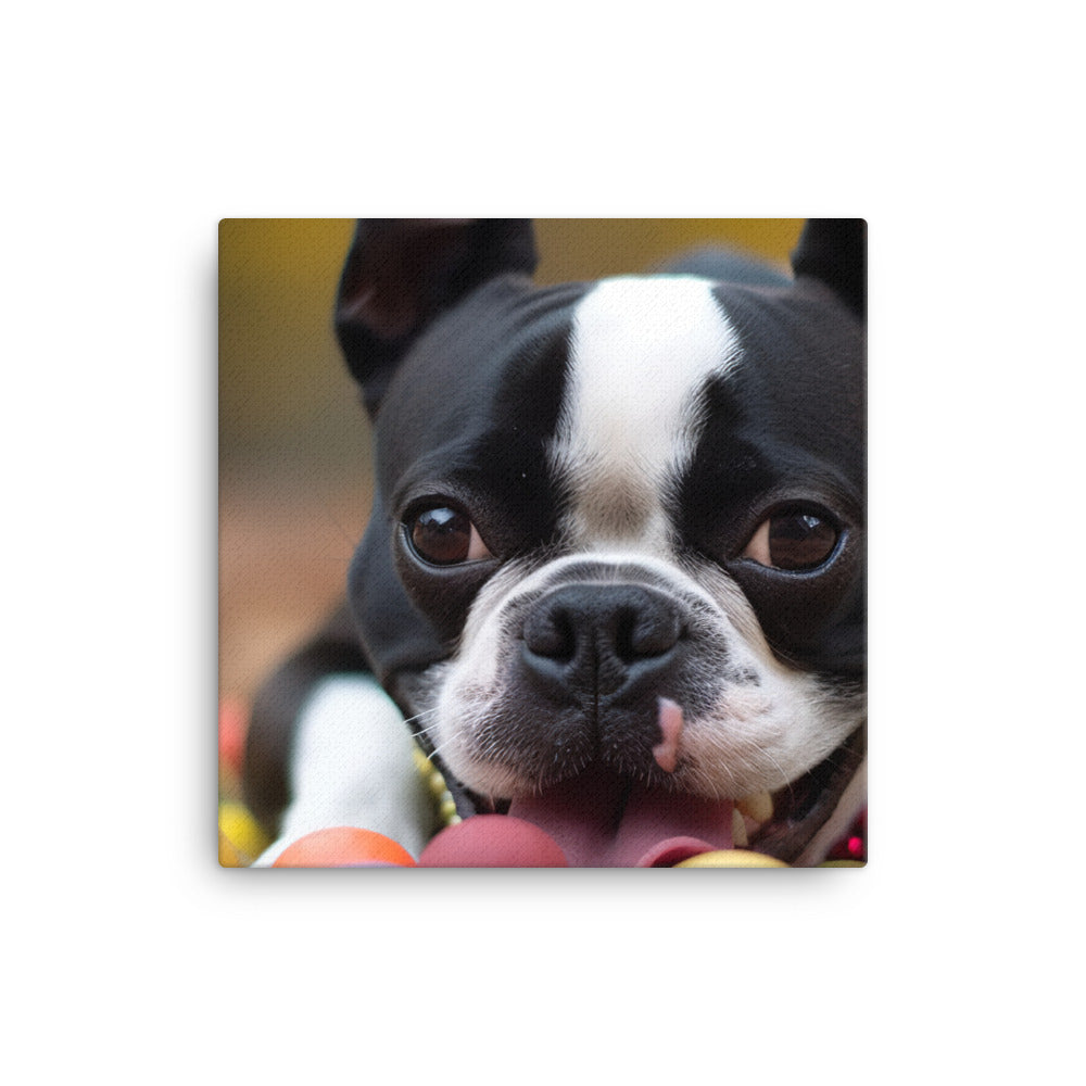 Happy Boston Terrier with Toys canvas - Posterfy.AI