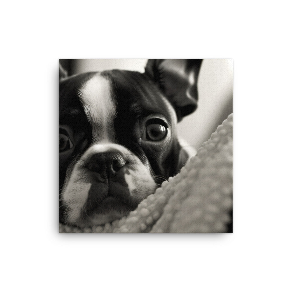 Boston Terrier Pup at Home canvas - Posterfy.AI