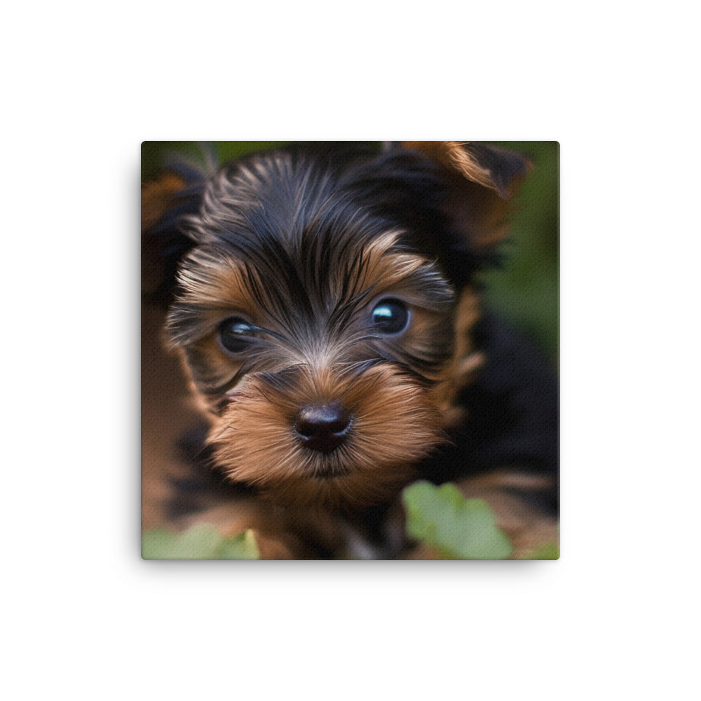 Yorkshire Terrier Pup canvas - Posterfy.AI