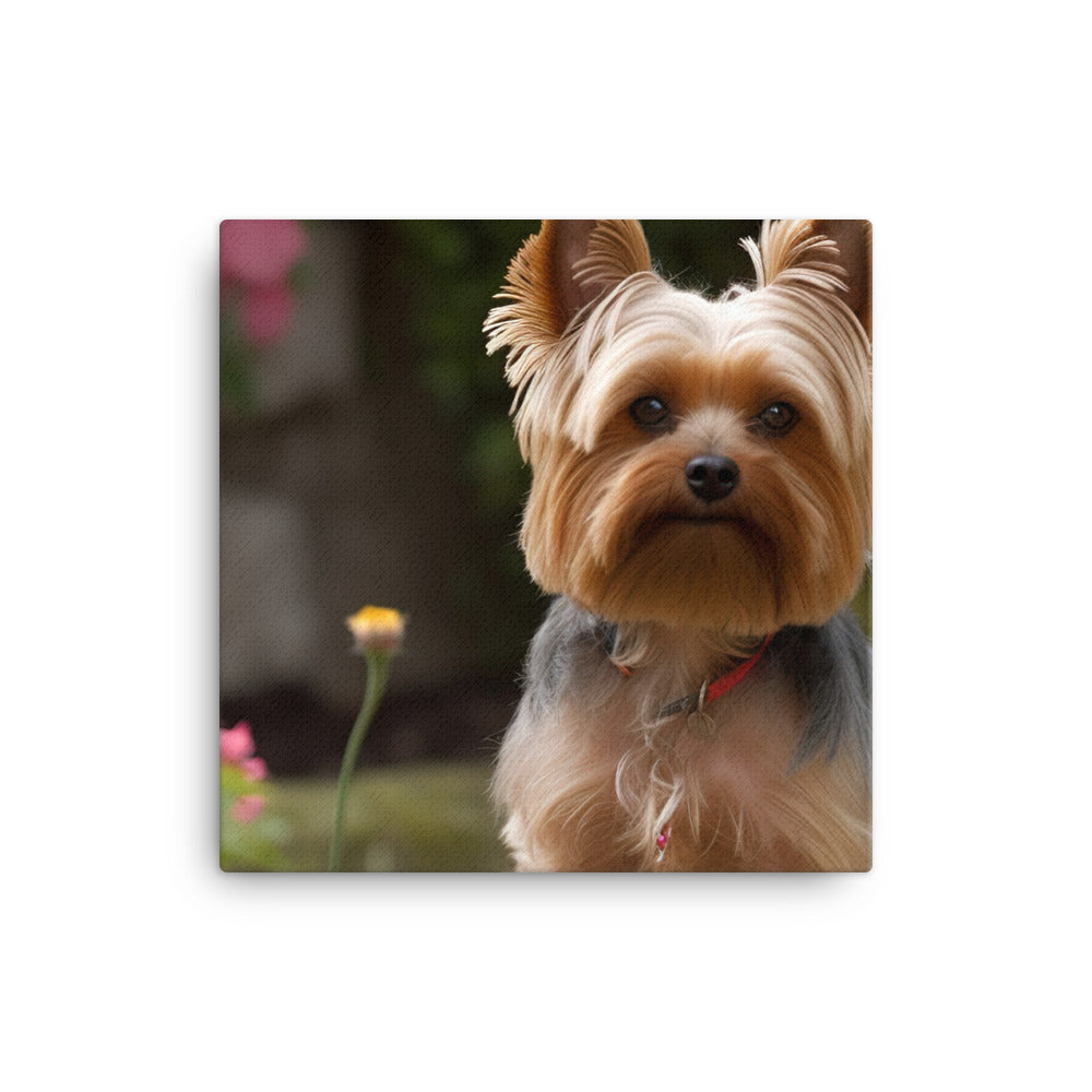 Yorkshire Terrier in the Garden canvas - Posterfy.AI