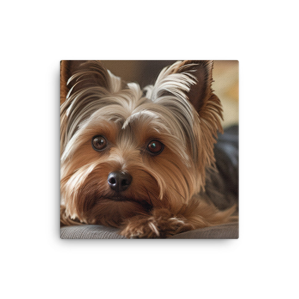 Yorkie at Home canvas - Posterfy.AI