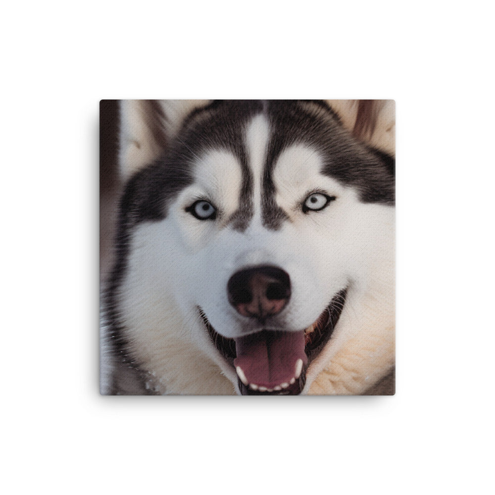 Siberian Husky with its mouth open canvas - Posterfy.AI