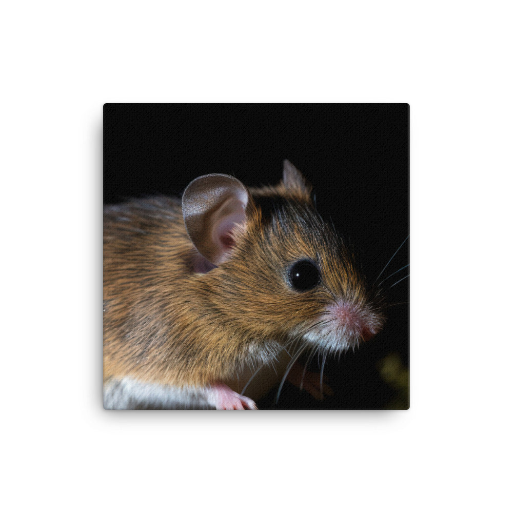 The Beauty of Woodland Jumping Mouse canvas - Posterfy.AI