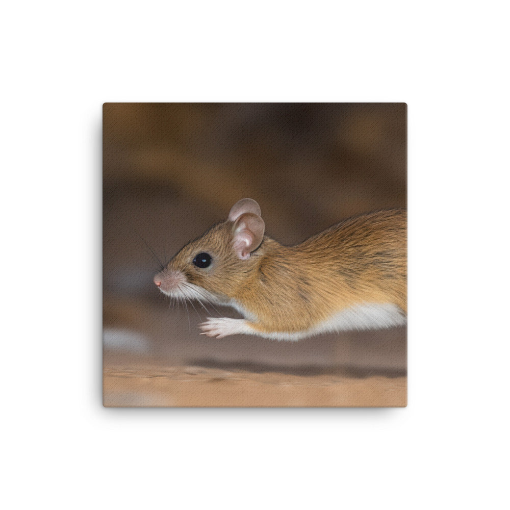 Action Shot of a Deer Mouse on the Move canvas - Posterfy.AI