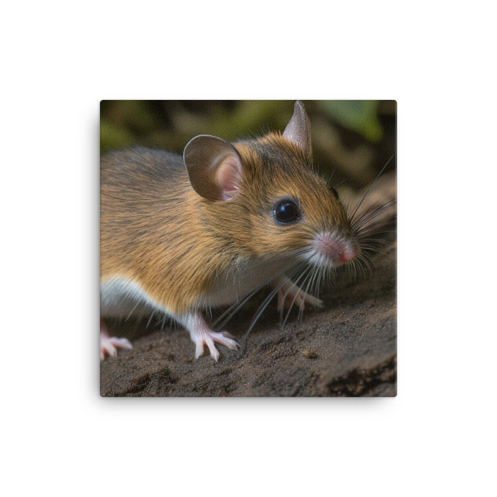 Yellow necked Mouse exploring its surroundings canvas - Posterfy.AI