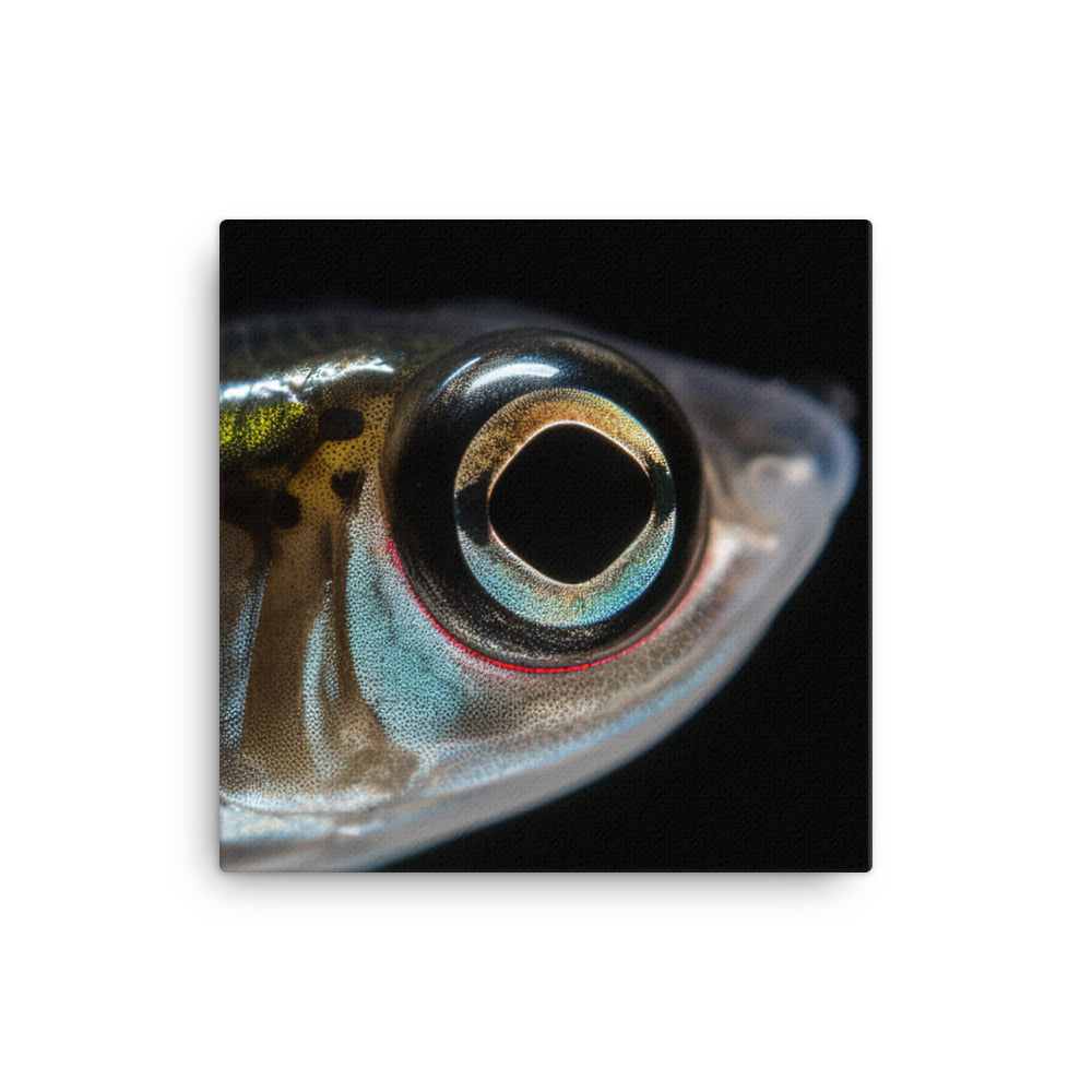 Close-Up of Majestic Zebrafish canvas - Posterfy.AI