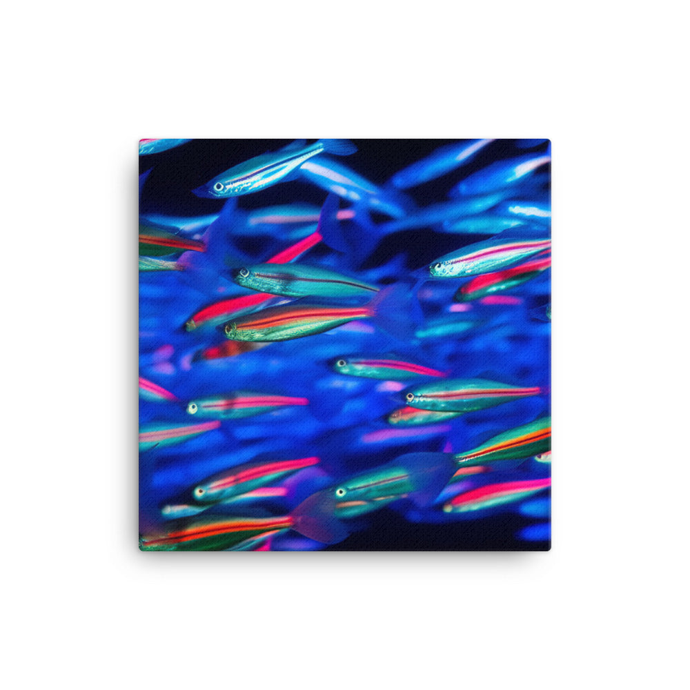 Neon Tetras Swimming in Harmony canvas - Posterfy.AI