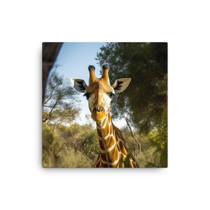 Curious Giraffe Peeking Through Trees canvas - Posterfy.AI