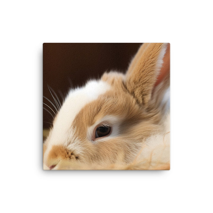 Mini Rex Bunny - Snuggled up for a Nap canvas - Posterfy.AI