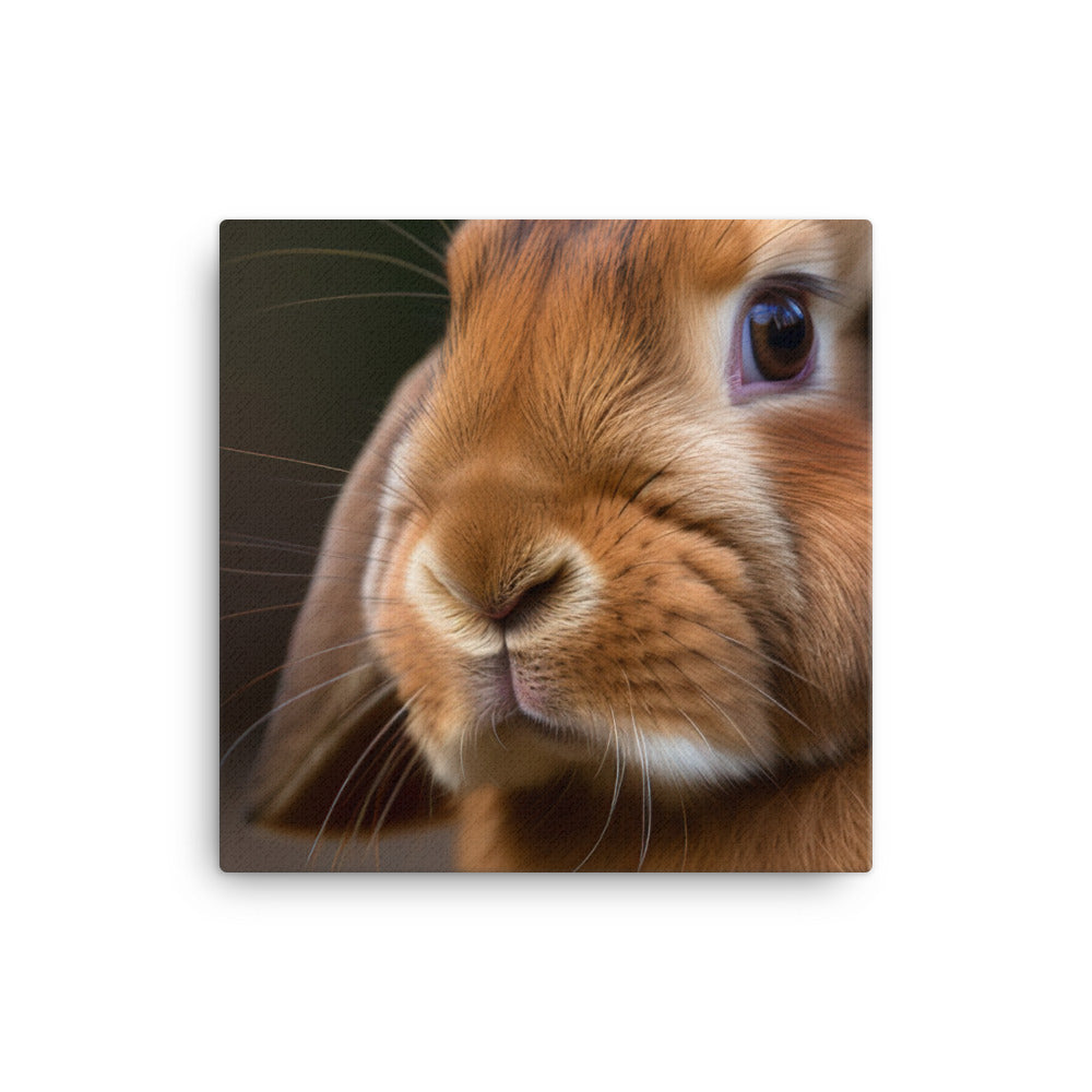 French Lop Portrait canvas - Posterfy.AI