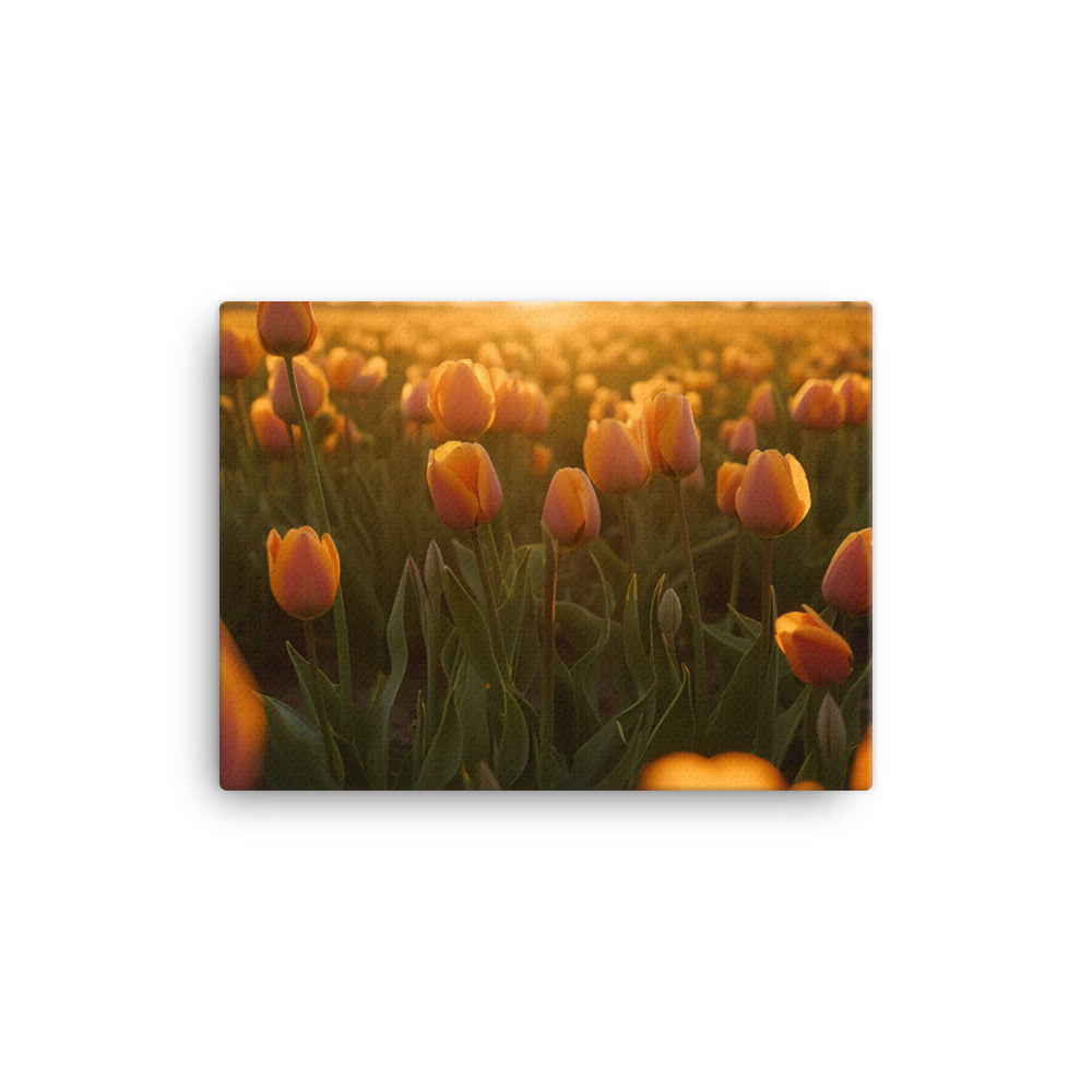 Tulips in the Golden Hour canvas - Posterfy.AI