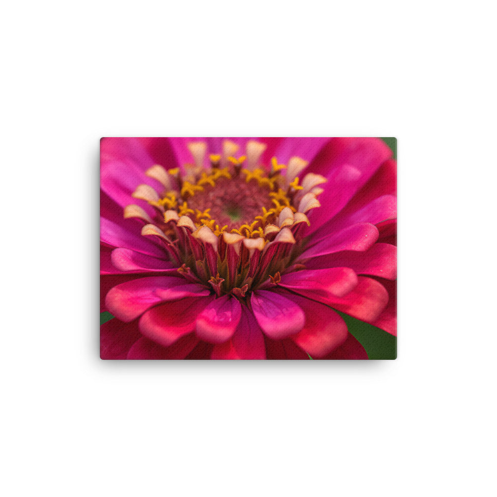 Vibrant Zinnias in Full Bloom canvas - Posterfy.AI