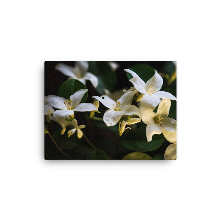 The Elegance of Jasmine Flowers at Night canvas - Posterfy.AI