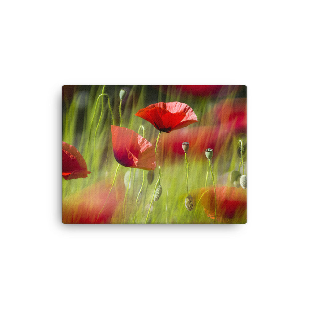 Artistic Poppy canvas - Posterfy.AI