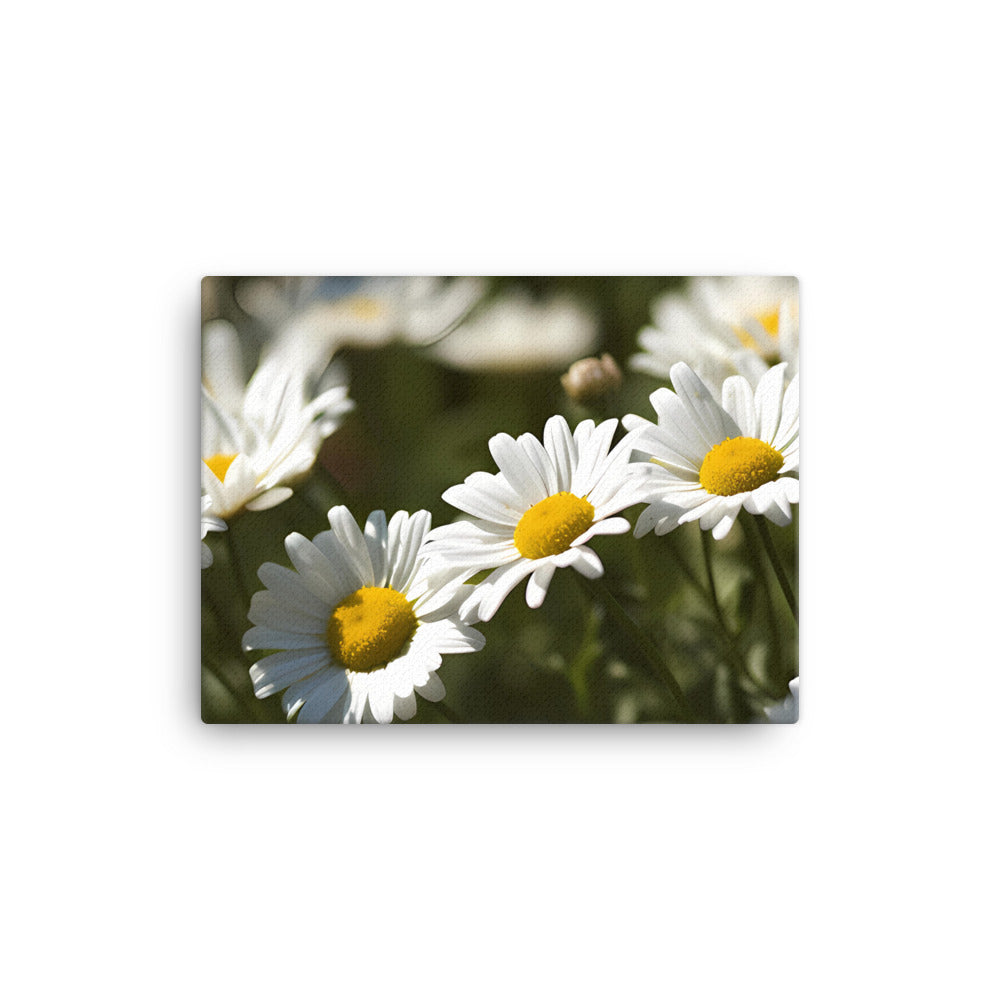 Dazzling Daisies canvas - Posterfy.AI