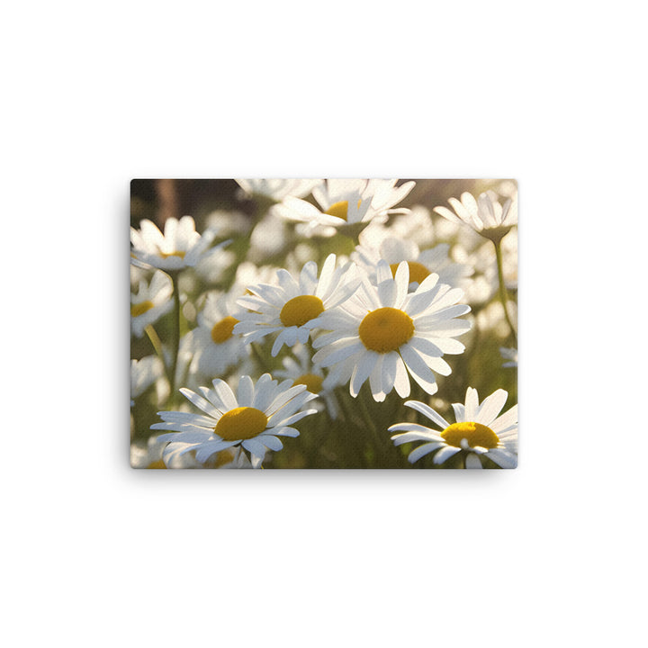 Dazzling Daisies canvas - Posterfy.AI