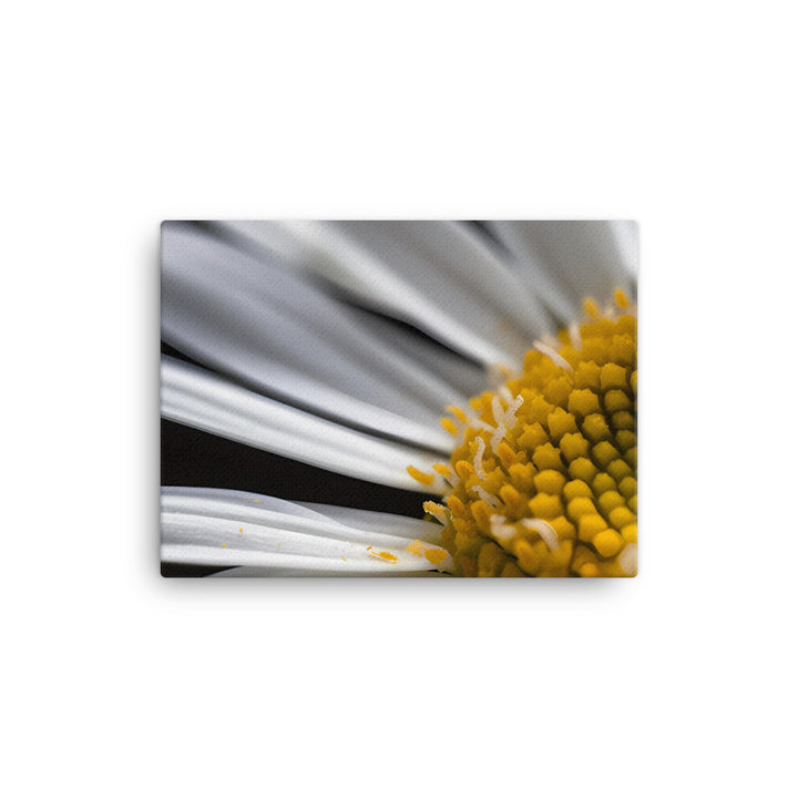 Daisy Petals canvas - Posterfy.AI