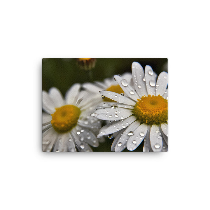Daisies in the Rain canvas - Posterfy.AI