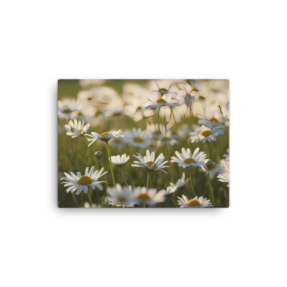 A Sea of Daisies canvas - Posterfy.AI