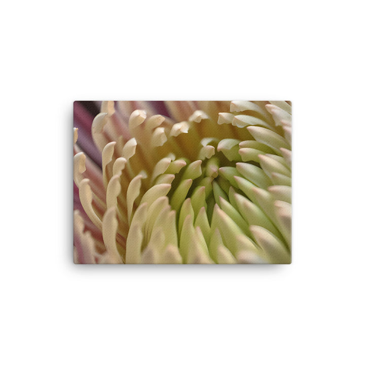 Close-Up of a Chrysanthemum Bloom canvas - Posterfy.AI