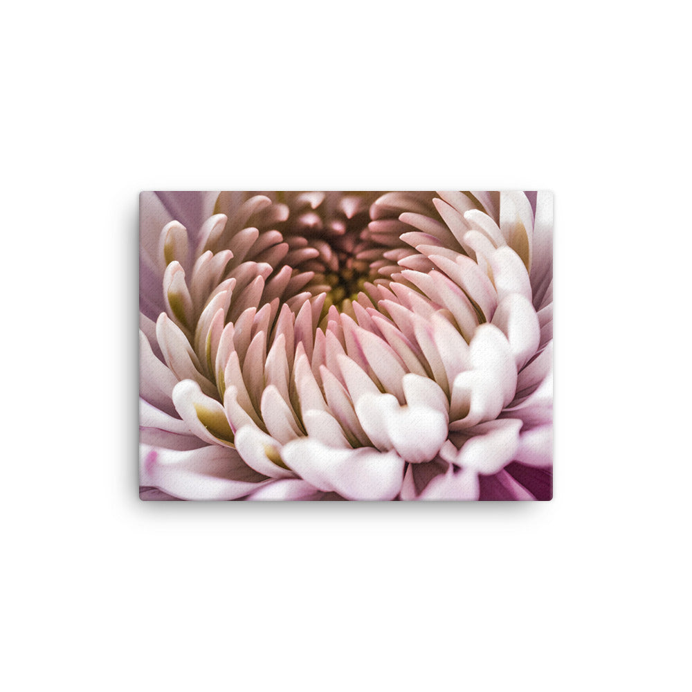 Chrysanthemum Center Stage canvas - Posterfy.AI