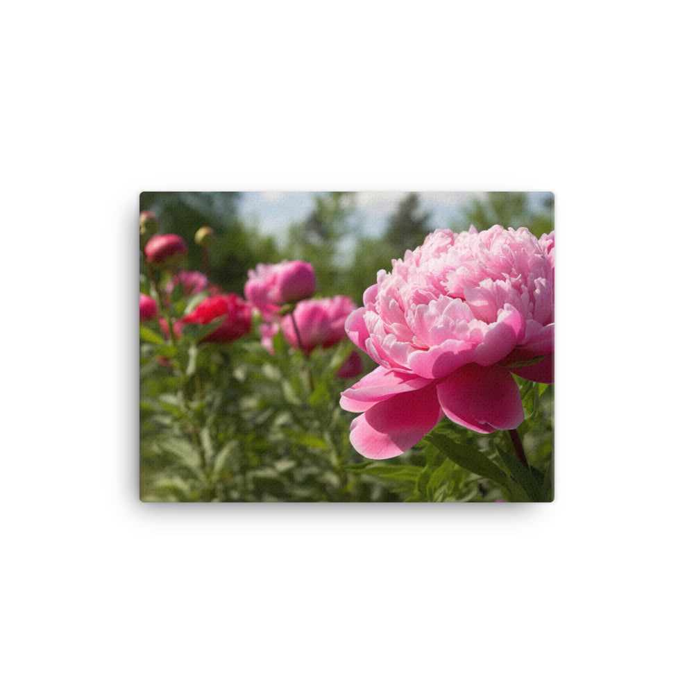 Peony Garden in Full Bloom canvas - Posterfy.AI