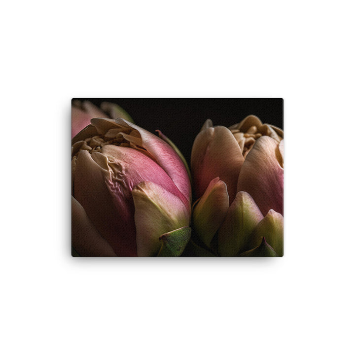 Peony Buds on the Verge of Blooming canvas - Posterfy.AI