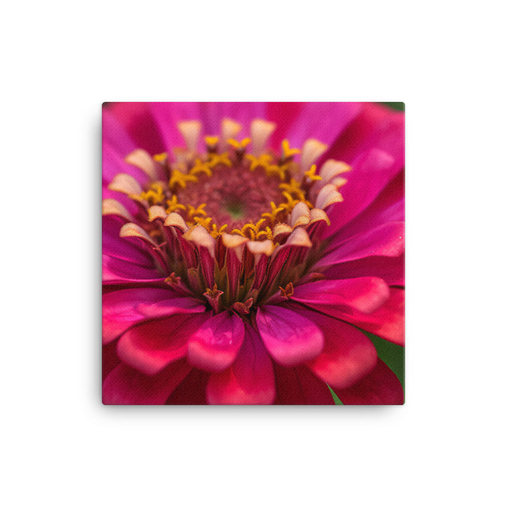 Vibrant Zinnias in Full Bloom canvas - Posterfy.AI