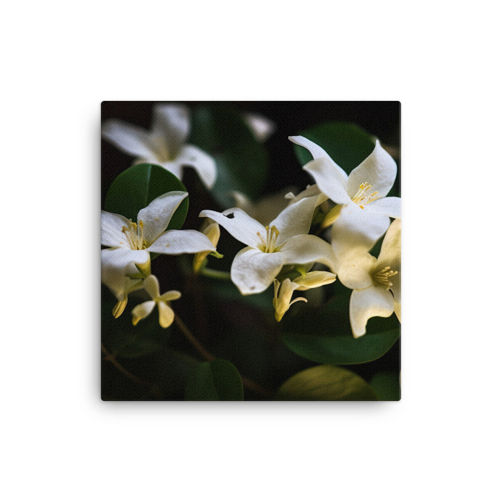 The Elegance of Jasmine Flowers at Night canvas - Posterfy.AI