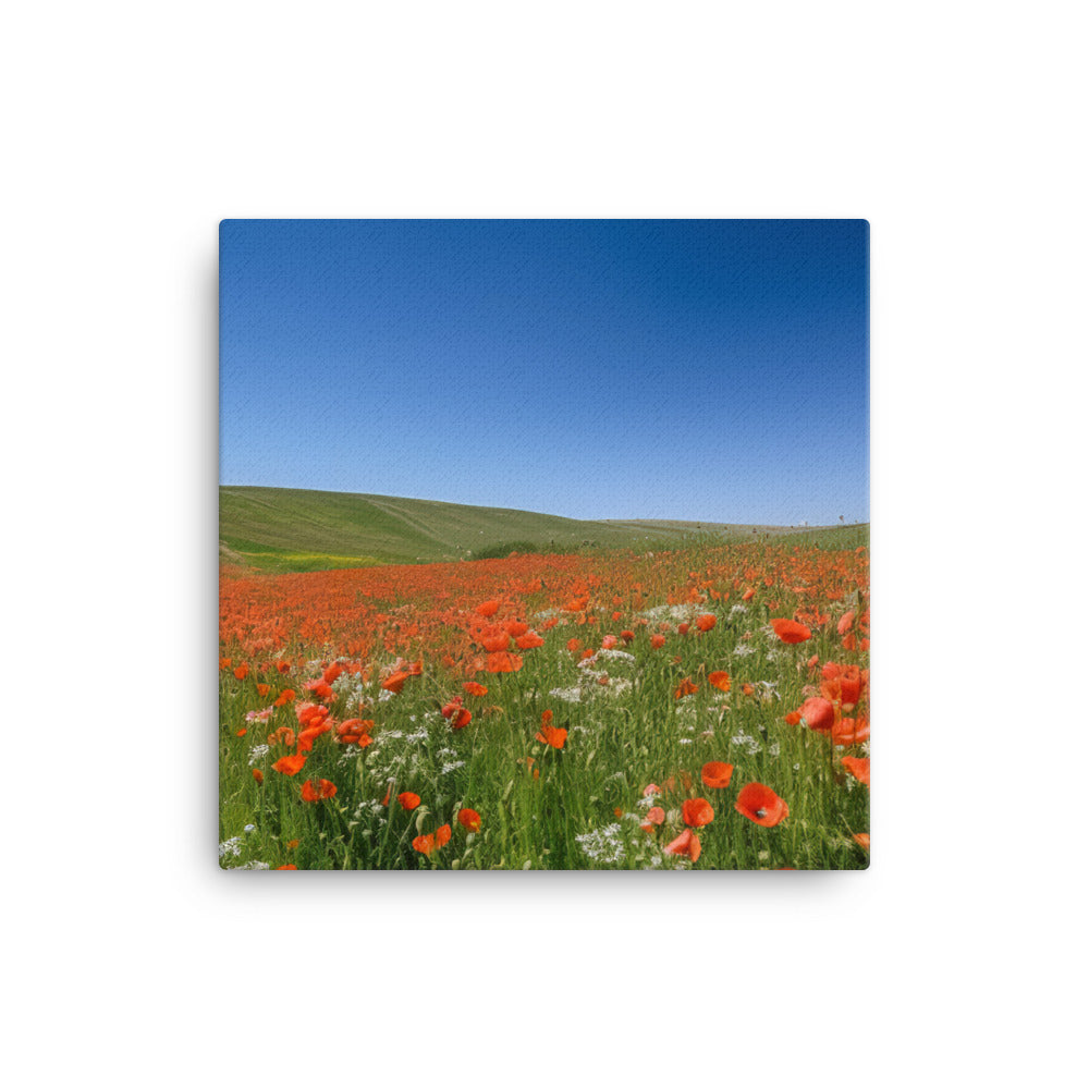 Vibrant Poppy blooms against a blue sky canvas - Posterfy.AI