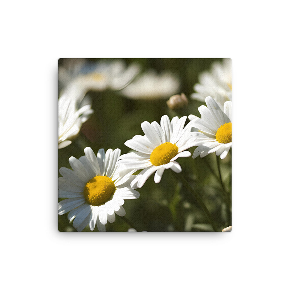 Dazzling Daisies canvas - Posterfy.AI