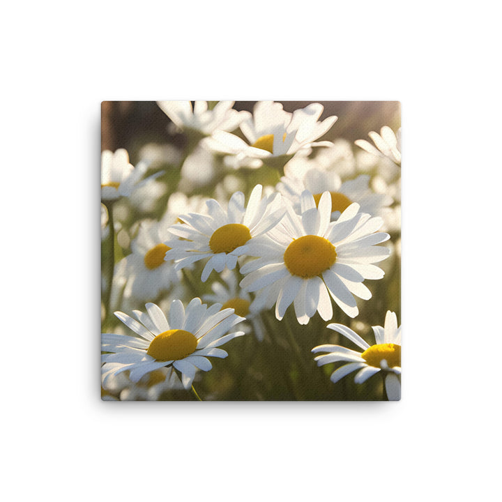 Dazzling Daisies canvas - Posterfy.AI