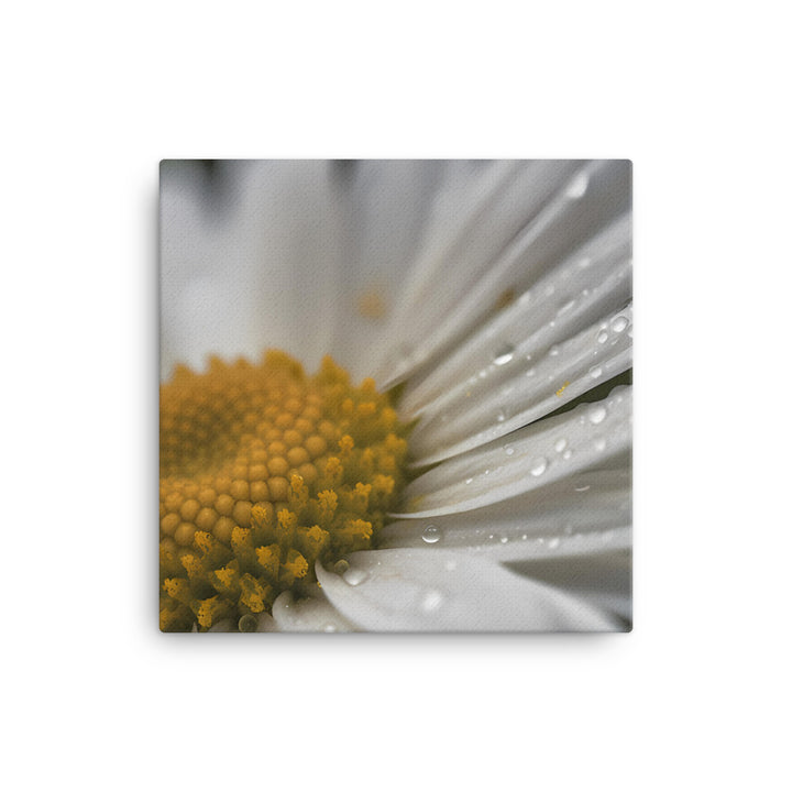 Daisy Petals canvas - Posterfy.AI