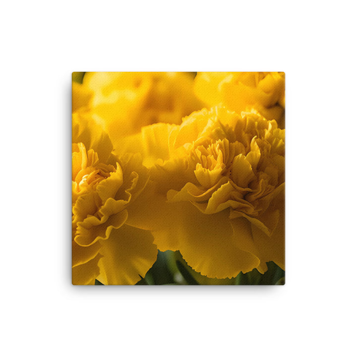 Sunny Yellow Carnations canvas - Posterfy.AI