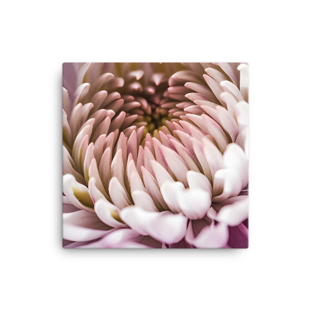 Chrysanthemum Center Stage canvas - Posterfy.AI