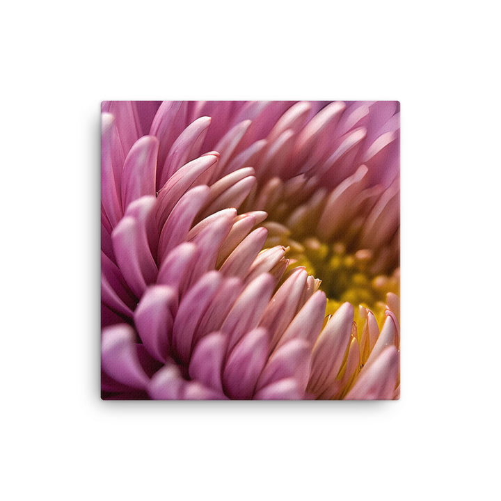 Chrysanthemum Center Stage canvas - Posterfy.AI