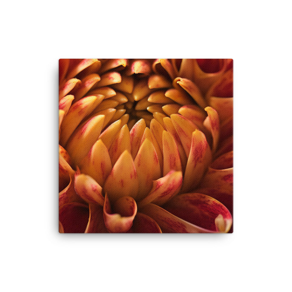 Dahlia Macro Shot canvas - Posterfy.AI