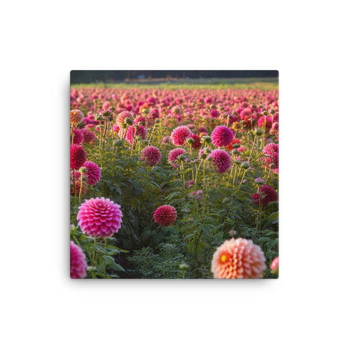 Dahlia Field in Bloom canvas - Posterfy.AI