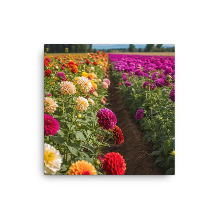 Dahlia Field in Bloom canvas - Posterfy.AI