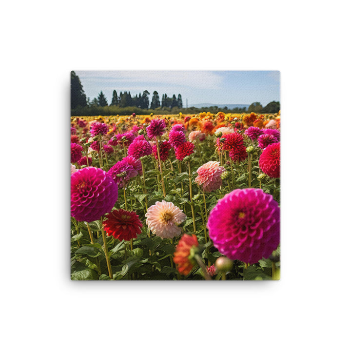 Dahlia Field in Bloom canvas - Posterfy.AI