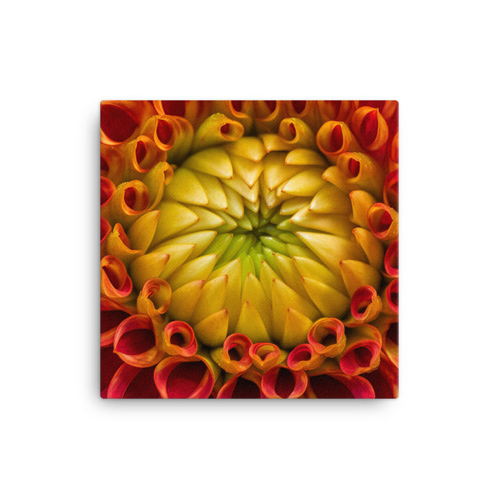 Close-Up of Dahlia Center canvas - Posterfy.AI