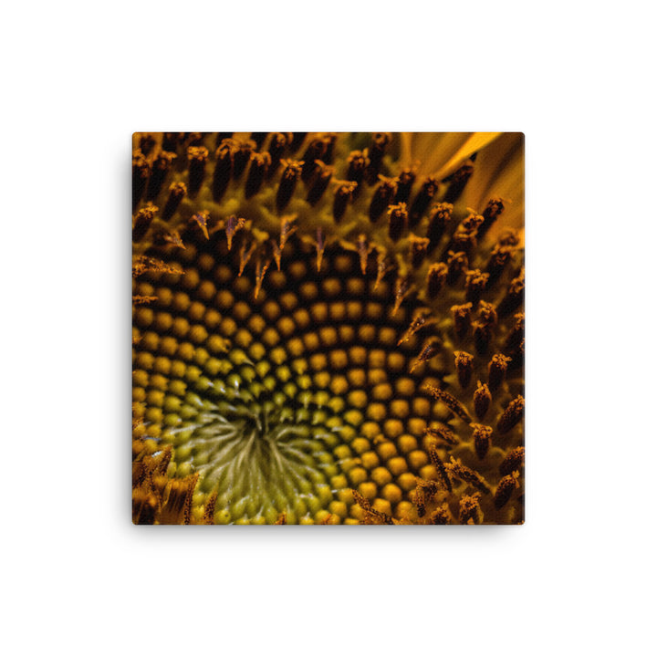 Sunflower Macro canvas - Posterfy.AI