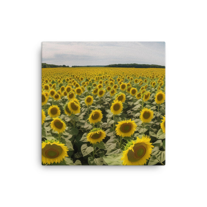 Sunflower Fields Forever canvas - Posterfy.AI