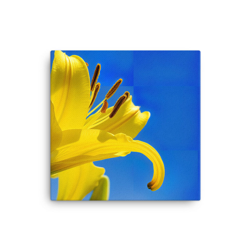 Yellow Lily Against the Sky canvas - Posterfy.AI