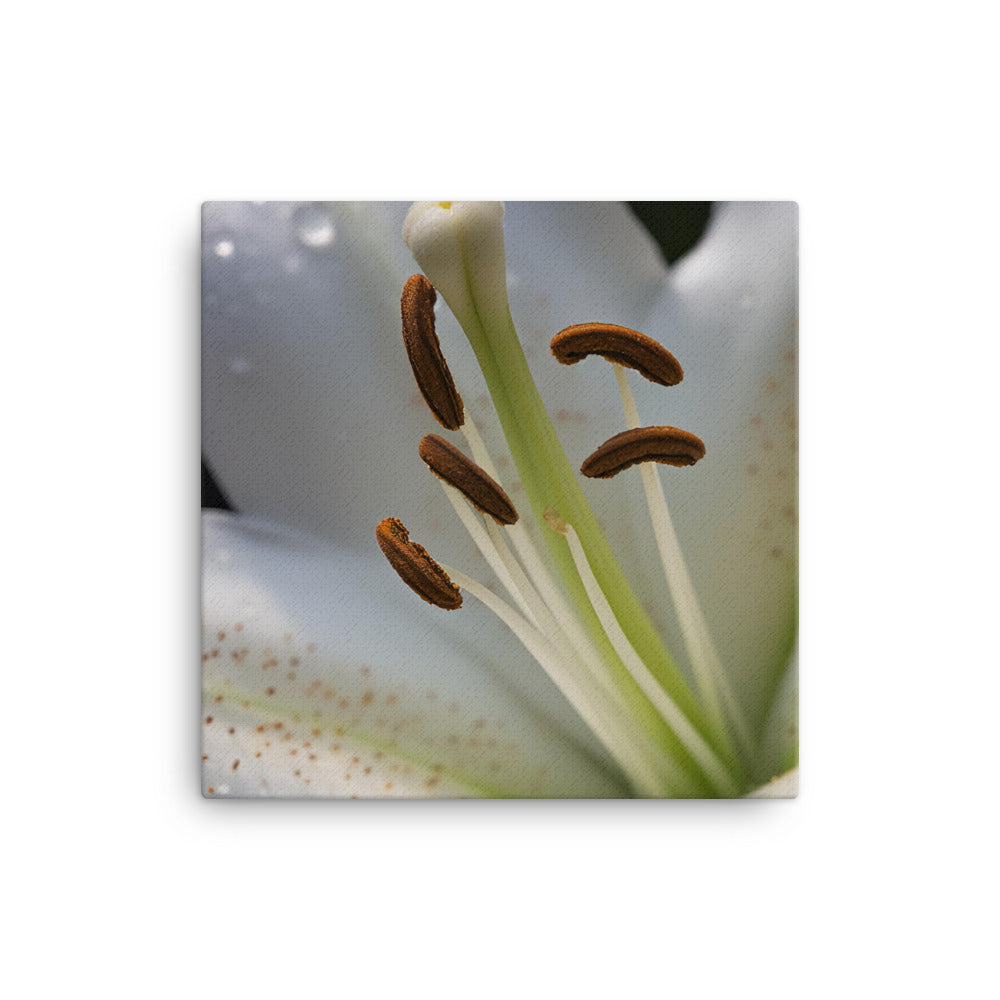 White Lily Close-Up canvas - Posterfy.AI