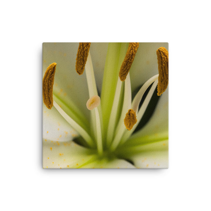 White Lily Close-Up canvas - Posterfy.AI
