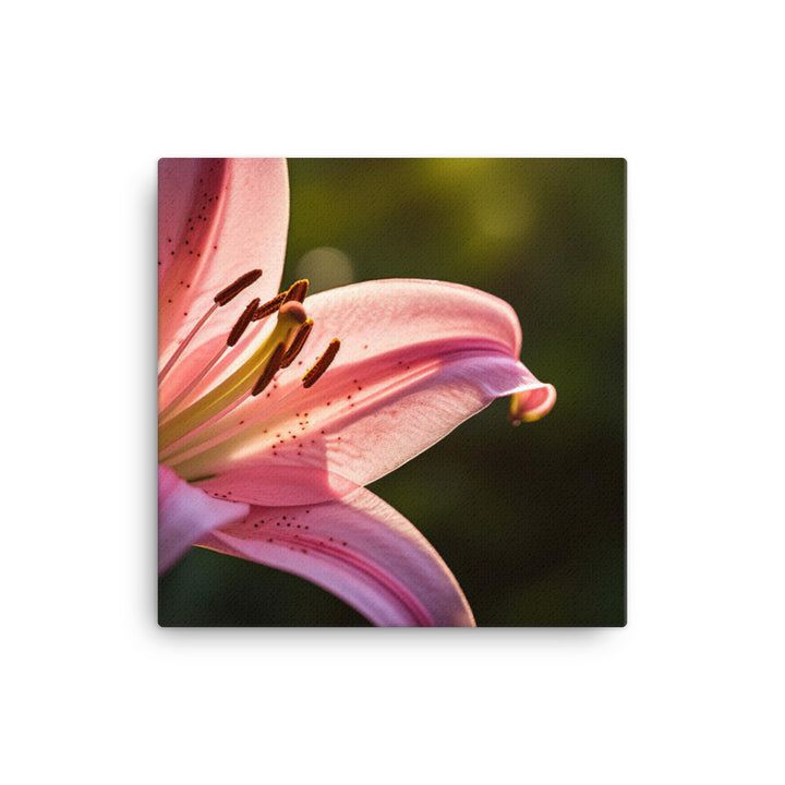 Pink Lily in the Sunlight canvas - Posterfy.AI