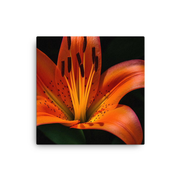 Orange Lily in the Garden canvas - Posterfy.AI