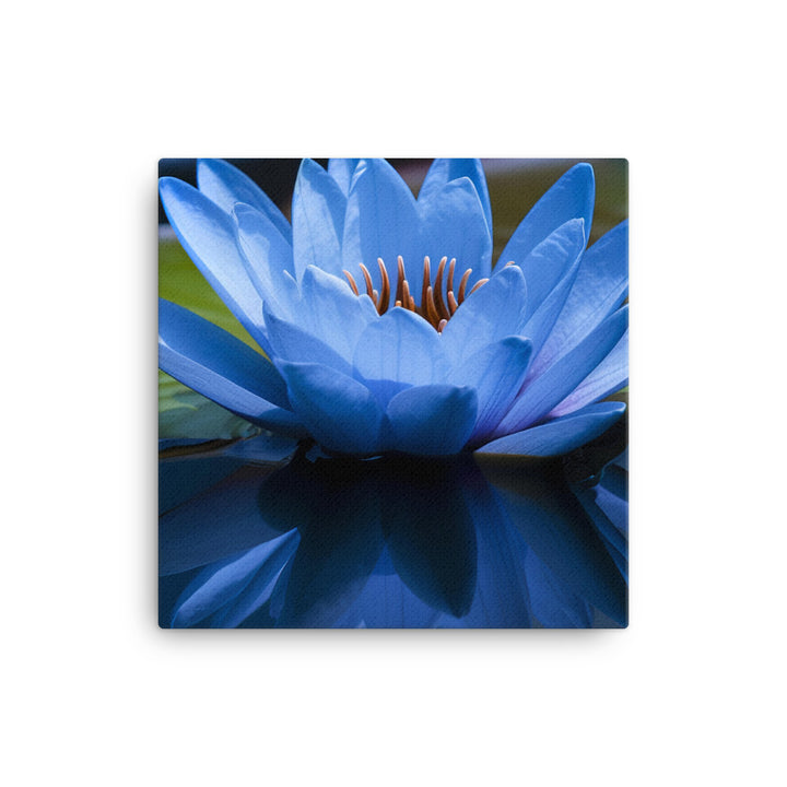 Blue Lily in the Pond canvas - Posterfy.AI