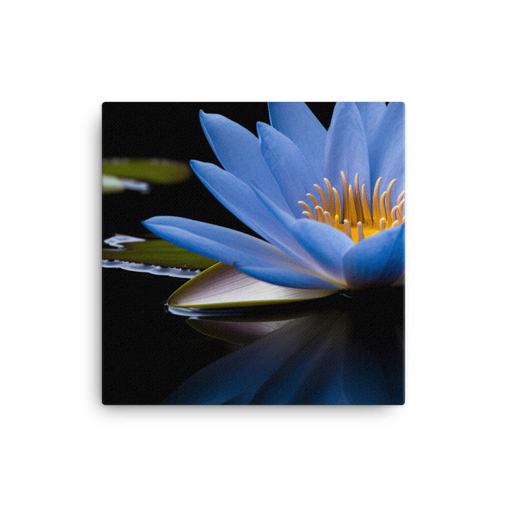 Blue Lily in the Pond canvas - Posterfy.AI